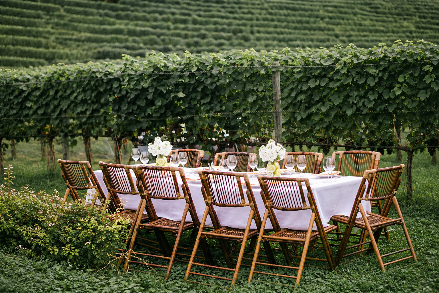 Table for wedding in vineyard